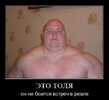 5296407.jpg