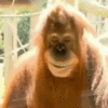 IMG_4027.gif