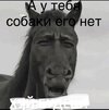 IMG_4559.jpeg