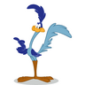 RoadRunner