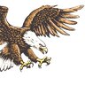 Eagles