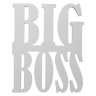 TheBigBoss