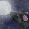 LunareRatte