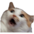 belkacar
