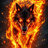 Firewolf