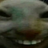 fromsoftware