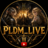 PLDM