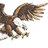 Eagles