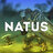Natus